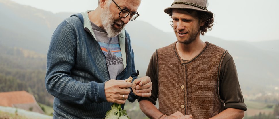 Ultime novità e storie da Valdaora Due uomini esaminano una pianta di verdura in un campo agricolo