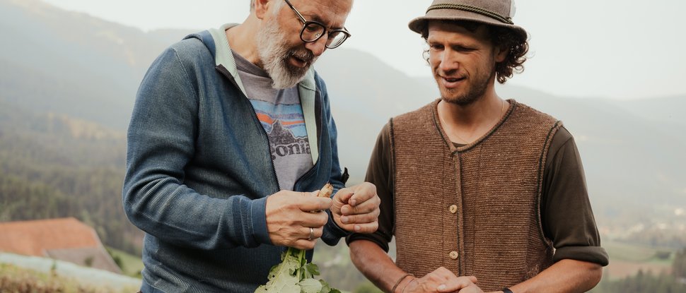 Current news and stories from Olang Two men inspecting a vegetable plant in a farm field