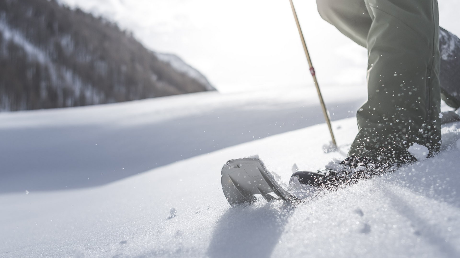 Escursioni invernali in Val Pusteria Primo piano di sci e bastoni sulla neve fresca