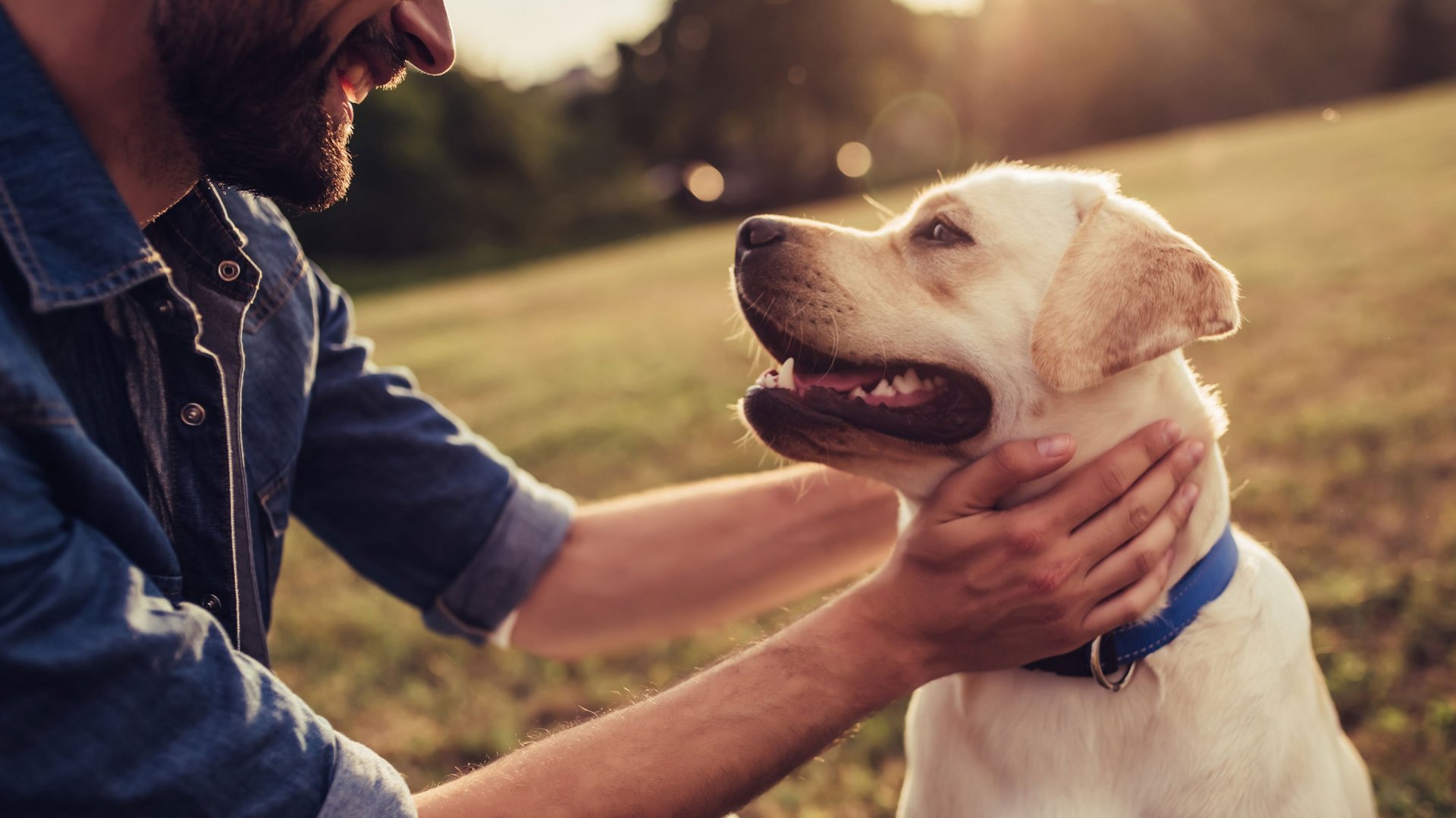 Urlaub mit Hund: Südtirol entdecken