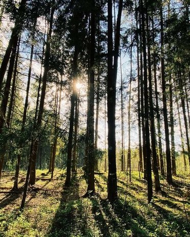 Ultime novità e storie da Valdaora Ultime novità e storie da Valdaora