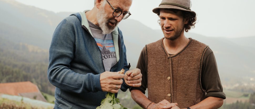 Aktuelle News und Geschichten aus Olang Zwei Männer untersuchen Gemüsepflanze in landwirtschaftlichem Feld