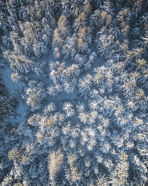 Bruneck: Shopping und mehr Vogelperspektive eines schneebedeckten Tannenwaldes im Winter