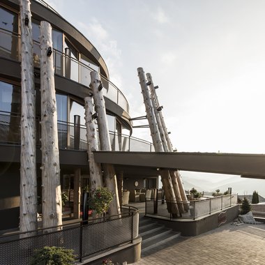 Certified quality for you Modern building with tree trunks and sunlight at sunset